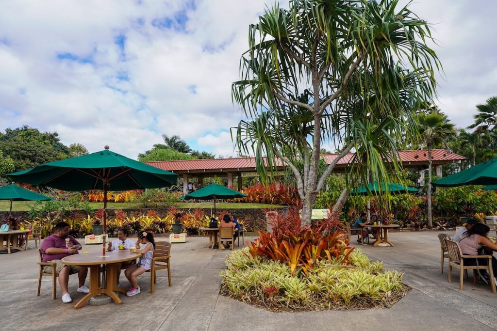 The grounds at the Dole Plantation