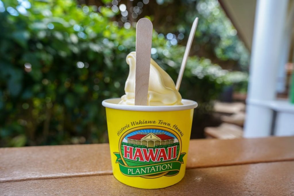 A Dole Whip from the Dole Plantation