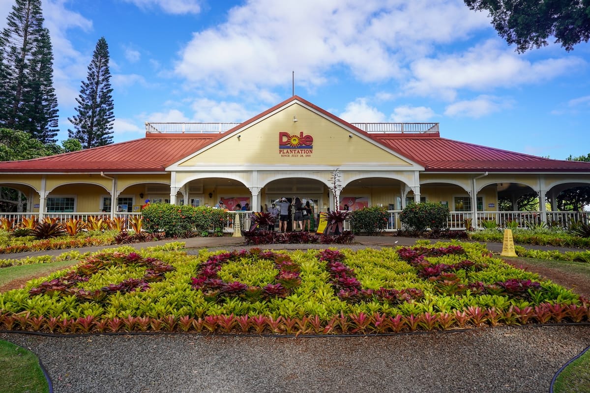 What to know before you visit the Dole Plantation