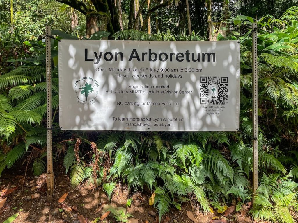 Lyon Arboretum: How to Visit, What to See, & FAQ