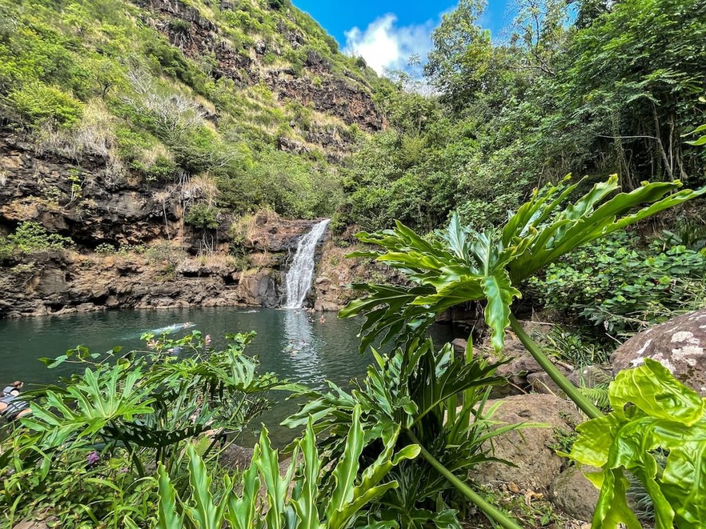 Waimea Falls inside Waimea Valley