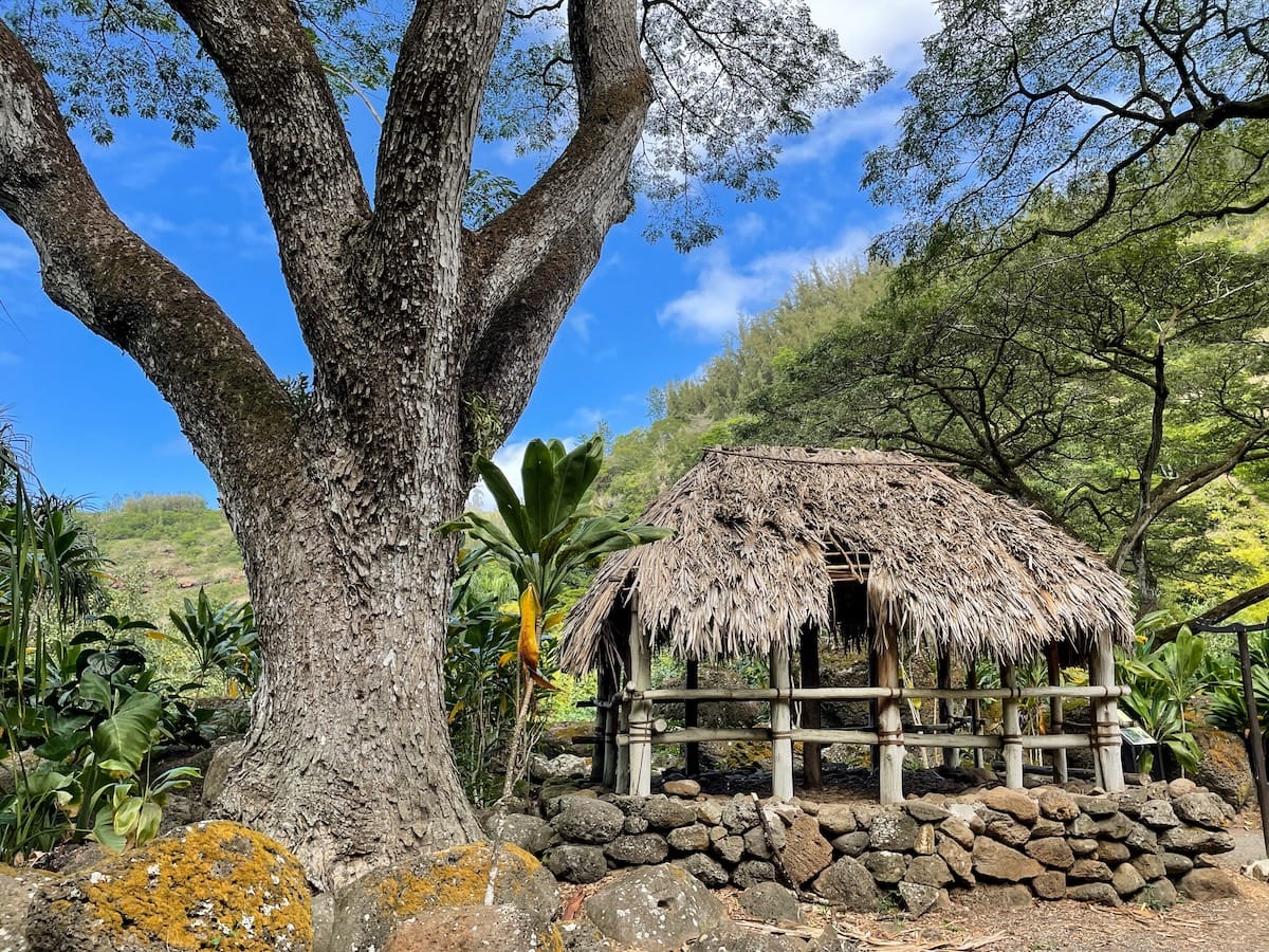 How to visit Waimea Valley in Oahu