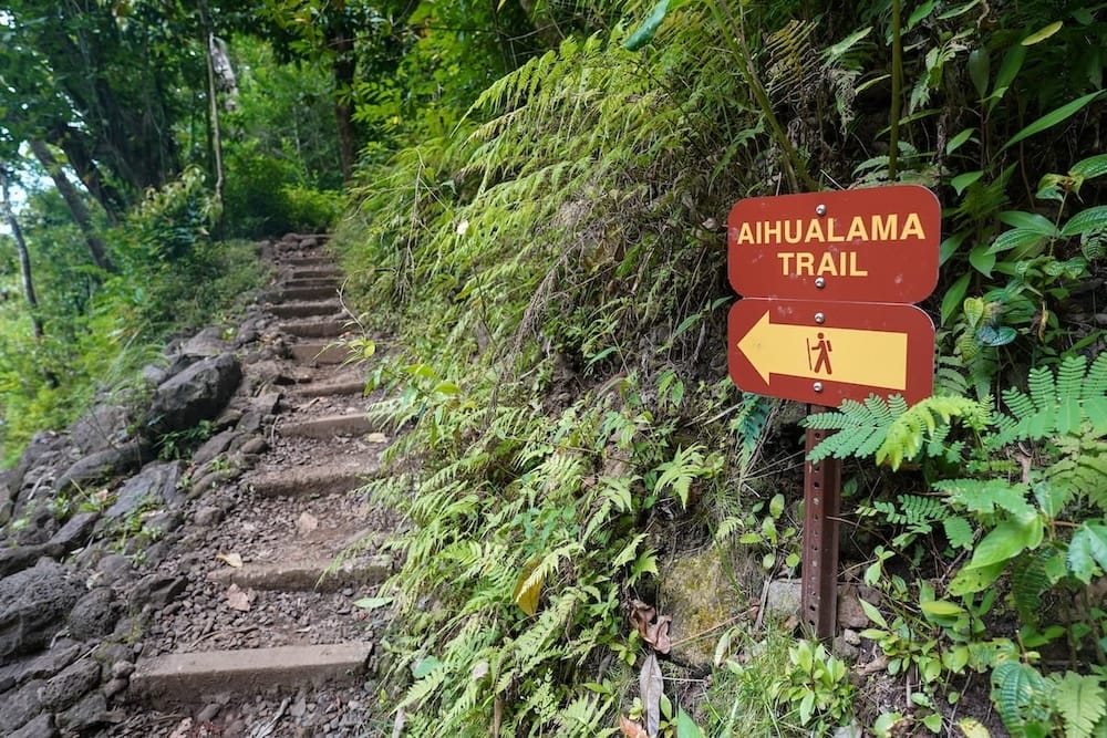 Aihualama Trail