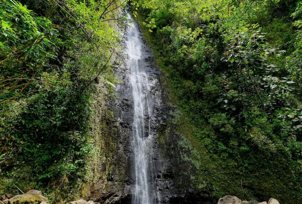 Hiking the Manoa Falls Trail