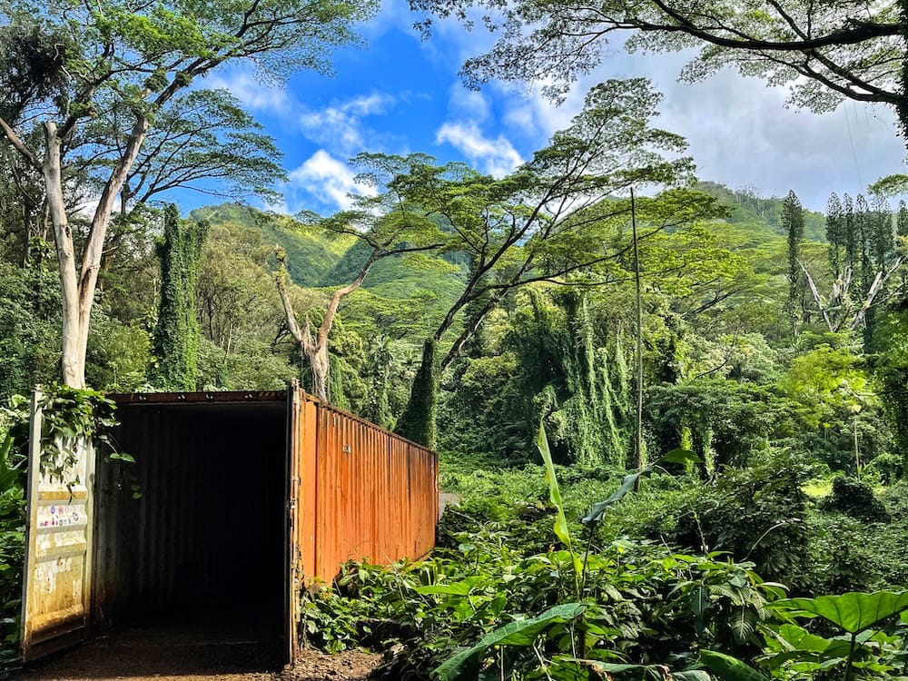 Start of the Manoa Falls Trail