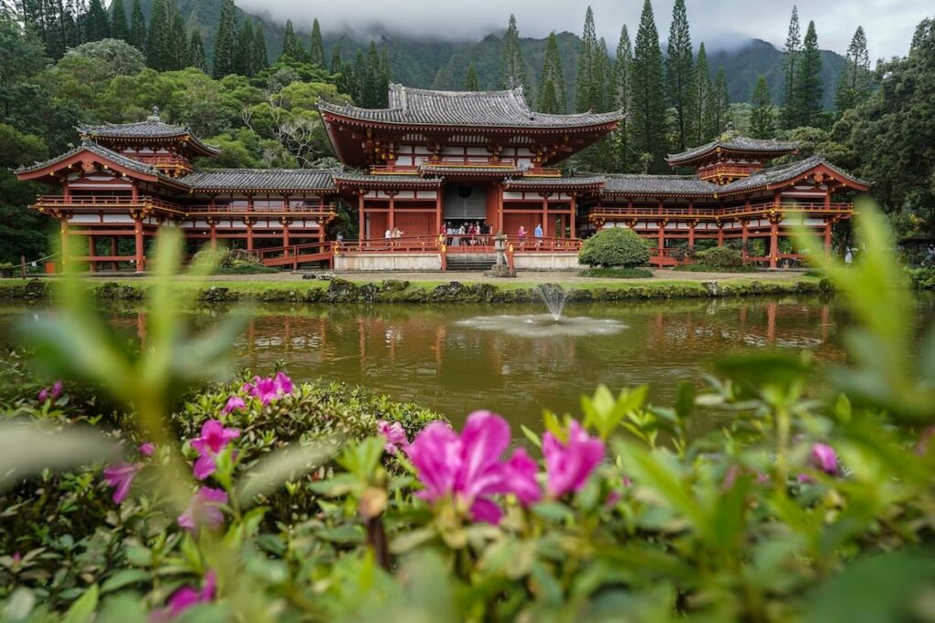This is a photo of Byodo-In Temple on Oahu... the temple is in the backdrop nestled in greenery while there are pink flowers across a small pond in front of it. How to visit the Byodo-In Temple on Oahu