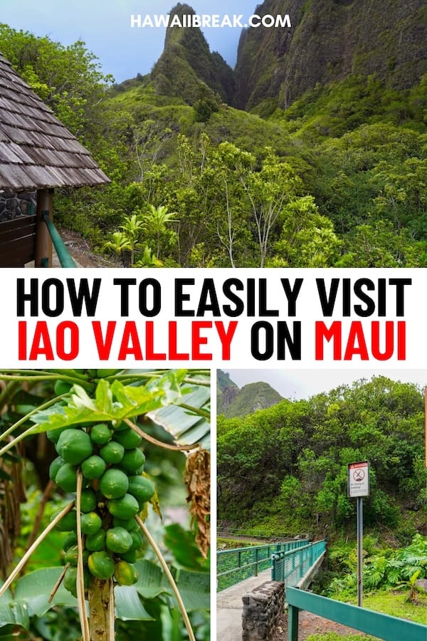 Are you looking to visit ʻĪao Valley State Monument on your Maui trip? This guide covers how to visit ʻĪao Valley, including ticket prices, hours, and more! | Places to visit in Maui | Things to do in Maui | Maui sightseeing | Maui road trip | Where to go on Maui | What to do on Maui | Maui itinerary | Maui history