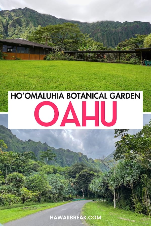 Are you looking to visit the Ho'omaluhia Botanical Garden on Oahu during your trip? This is a guide about how to visit, what to expect, and some helpful tips. | Day trips from Honolulu | Places to visit on Oahu | Things to do in Honolulu | Honolulu itinerary | Oahu itinerary | Botanical Gardens in Hawaii | What to do on Oahu
