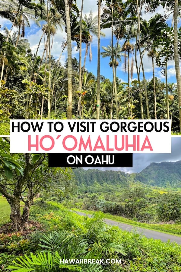 Are you looking to visit the Ho'omaluhia Botanical Garden on Oahu during your trip? This is a guide about how to visit, what to expect, and some helpful tips. | Day trips from Honolulu | Places to visit on Oahu | Things to do in Honolulu | Honolulu itinerary | Oahu itinerary | Botanical Gardens in Hawaii | What to do on Oahu