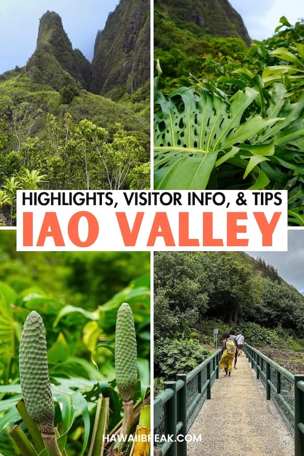 Are you looking to visit ʻĪao Valley State Monument on your Maui trip? This guide covers how to visit ʻĪao Valley, including ticket prices, hours, and more! | Places to visit in Maui | Things to do in Maui | Maui sightseeing | Maui road trip | Where to go on Maui | What to do on Maui | Maui itinerary | Maui history