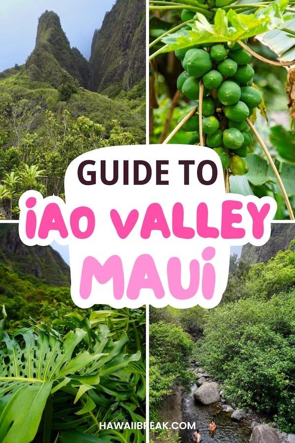 Are you looking to visit ʻĪao Valley State Monument on your Maui trip? This guide covers how to visit ʻĪao Valley, including ticket prices, hours, and more! | Places to visit in Maui | Things to do in Maui | Maui sightseeing | Maui road trip | Where to go on Maui | What to do on Maui | Maui itinerary | Maui history
