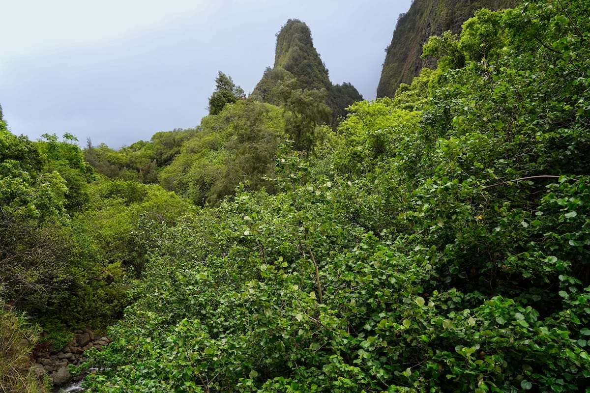 Kūka‘emoku
