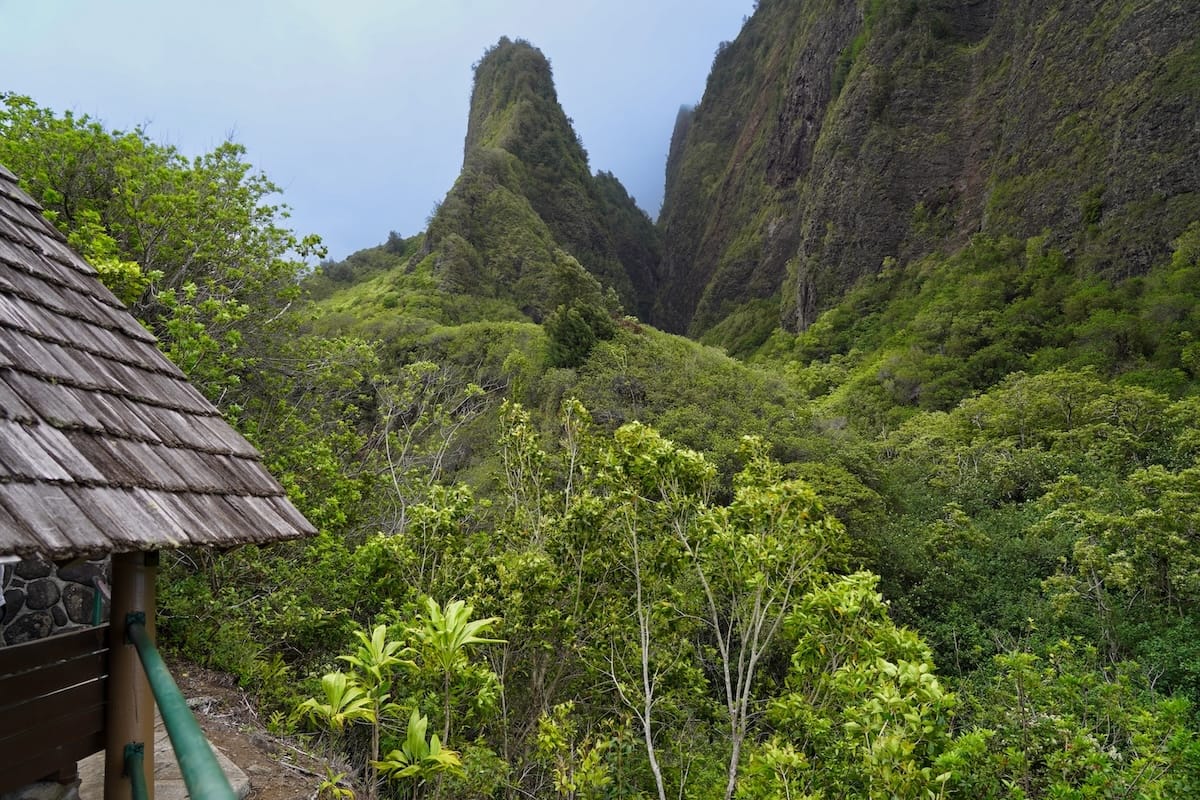 How to visit ʻĪao Valley State Monument on Maui
This is a photo of the How to visit ʻĪao Valley State Monument famous needle