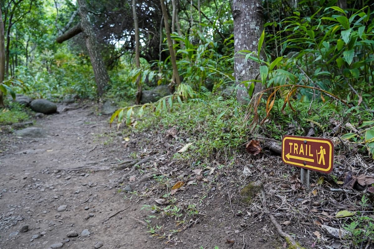 The trail at ʻĪao Valley