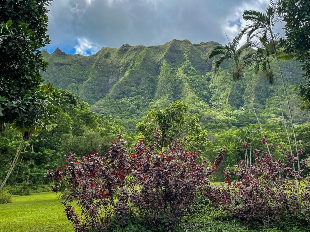 How to visit Ho'omaluhia Botanica Garden on Oahu