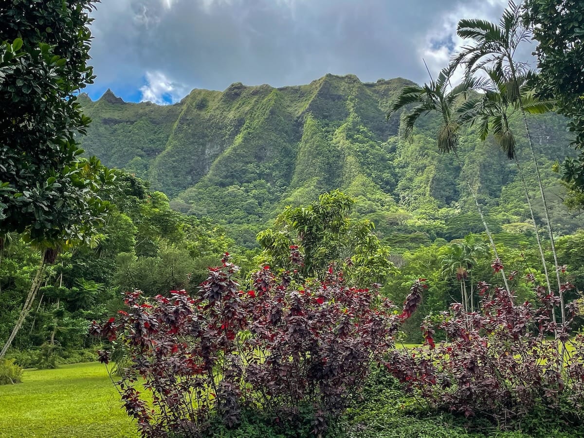 How to visit Ho'omaluhia Botanica Garden on Oahu