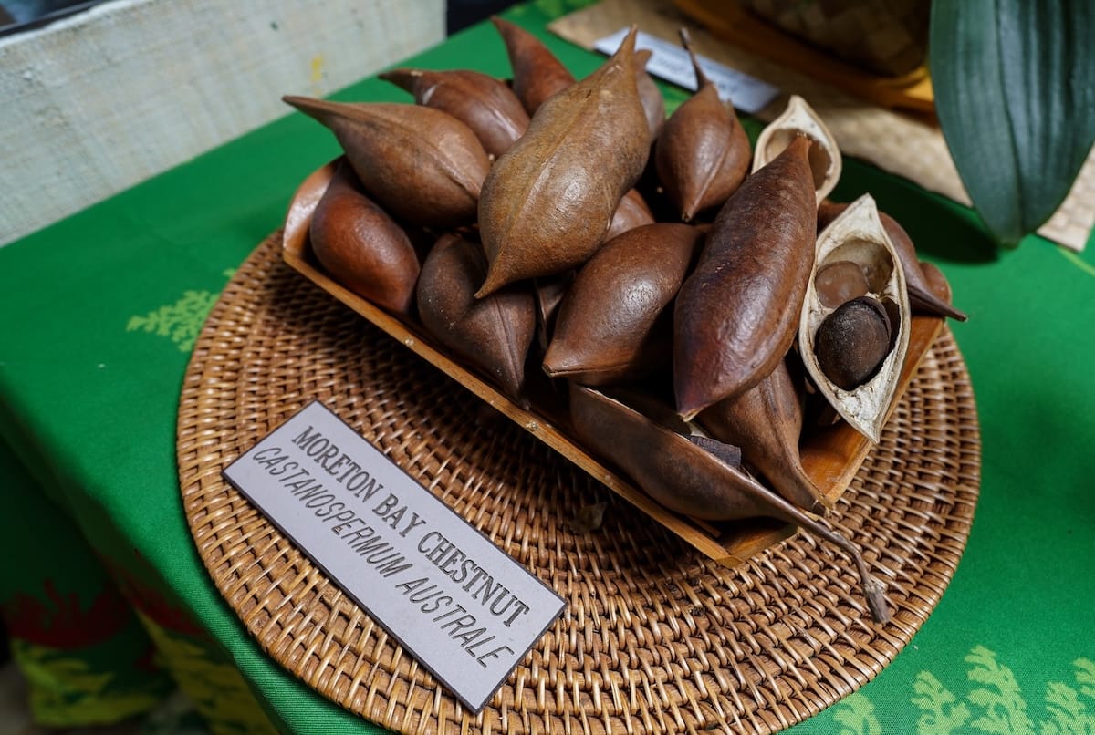 How to visit Ho'omaluhia Botanica Garden on Oahu