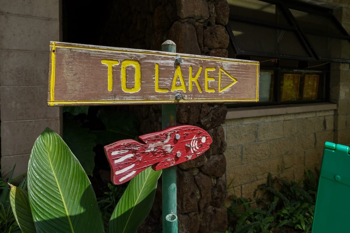 How to visit Ho'omaluhia Botanica Garden on Oahu