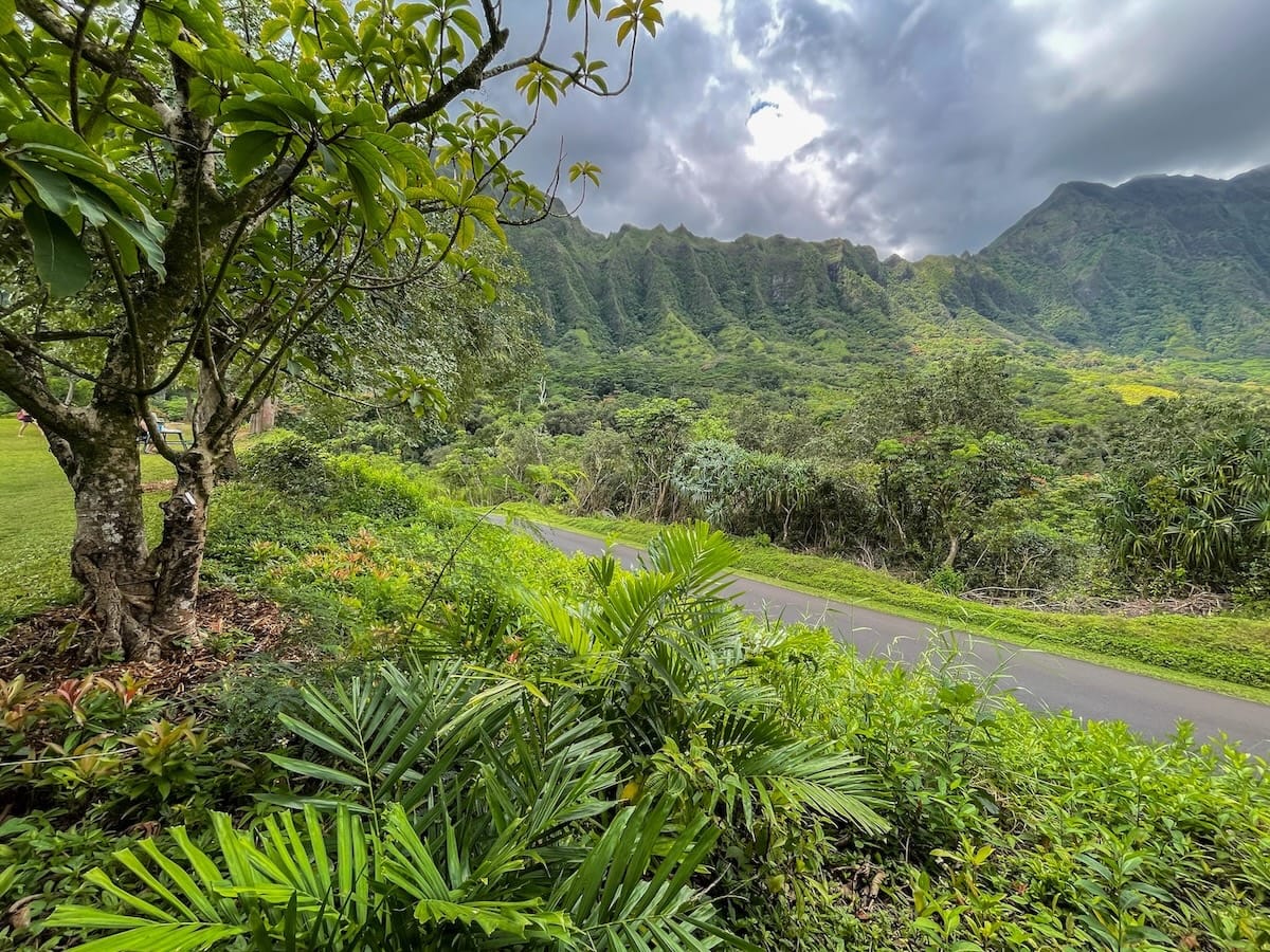 How to visit Ho'omaluhia Botanica Garden on Oahu
